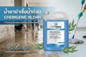 น้ำยาฆ่าเชื้อน้ำท่วม